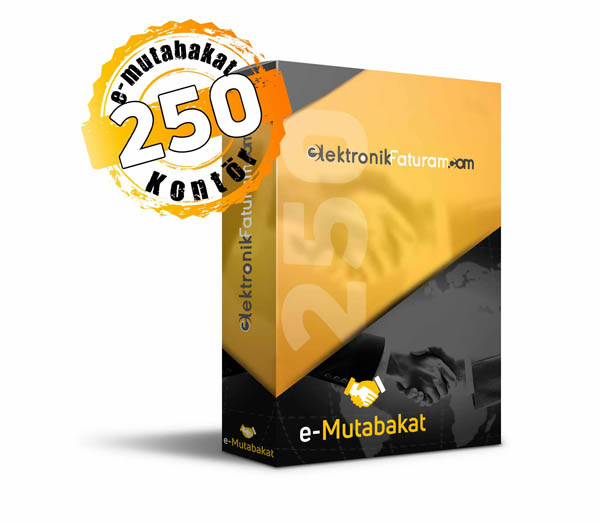 e-mutabakat-250