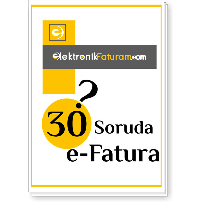 30-soruda-e-fatura-nedir-kitap 30 soru 30 cevap e fatura nedir